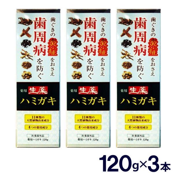 生薬 はみがき 薬用ハミガキ 大容量120gタイプ 医薬部外品 ３本セット