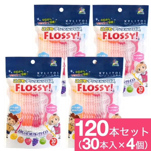 フロッシー こどもデンタルフロス 30本×4個 フロス 子供 子供用 送料無料