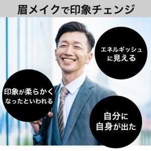 アイブロウ メンズ TIAS homme 日本...の詳細画像2