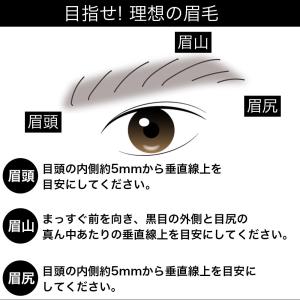 アイブロウ メンズ TIAS homme 日本...の詳細画像4