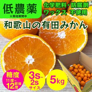 和歌山 小玉 選べる 極早生みかん YN26 ゆら早生 5kg 本場  有田みかん 甘い 濃厚 3S~2S 化学肥料不使用