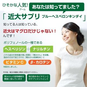近大サプリ 青みかん サプリ サプリメント 青...の詳細画像3