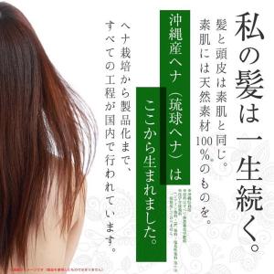 ヘナ ペーストタイプ 日本産 天然白髪染め ナ...の詳細画像2