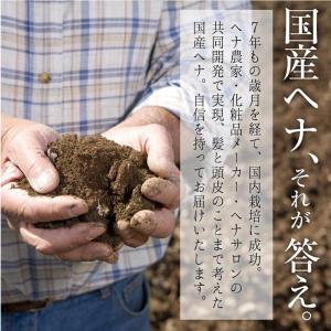ヘナ ペーストタイプ 日本産 天然白髪染め ナ...の詳細画像4