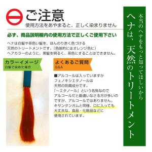 ヘナ ペーストタイプ 日本産 天然白髪染め ナ...の詳細画像5
