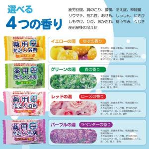 入浴剤 薬用 発泡 炭酸ガス ギフト アロマプ...の詳細画像1