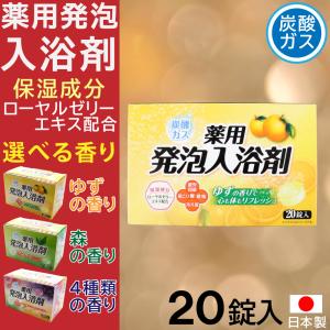 ライオンケミカル 入浴剤 炭酸ガス 薬用発泡入浴剤 20錠入×5箱セット 4