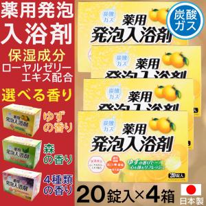ライオンケミカル 入浴剤 炭酸ガス 薬用発泡入浴剤 20錠入×5箱セット 4