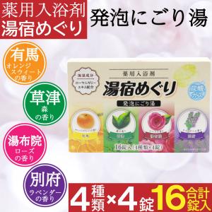 ライオンケミカル 入浴剤 薬用 発泡 4種類 16錠入り 炭酸ガス ギフト