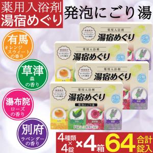 ライオンケミカル 入浴剤 10袋セット 詰め合わせ ギフト 人気 アロマ