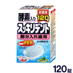 入れ歯 洗浄剤 スッキリデント 部分入れ歯用 入れ歯 洗浄剤 120錠 酵素入り カビ 除去 ミントの香り