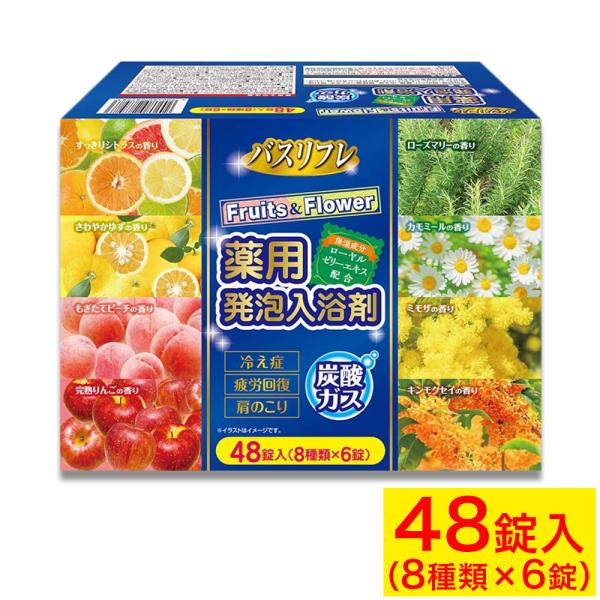 入浴剤 ギフト プレゼント 薬用発泡入浴剤 バスリフレ 8種類 48錠入（8種類×6錠） 発泡 フル...