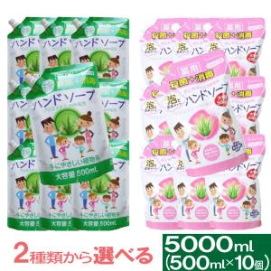 ハンドソープ 薬用ハンドソープ詰め替え用 大容量5000ml セット 500mL×10個 セット 選べる２タイプ 洗浄 殺菌 消毒 保湿 アロエエキス 日本製 送料無料｜わごんせる