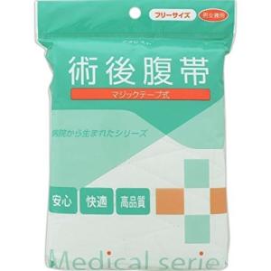 腹帯マジックタイプ 1枚入 アメジスト フリー...の詳細画像2