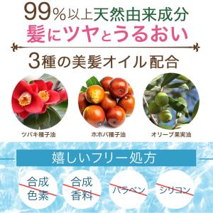 白髪隠し 薄毛隠し パウダー シャンデル ぽん...の詳細画像3