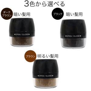 白髪隠し 薄毛隠し パウダー シャンデル ぽん...の詳細画像5