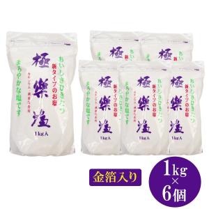塩 極楽塩 1kg 6個セット