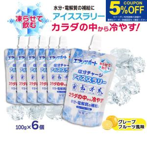 塩分チャージ アイススラリー 100g ×6個 ...の商品画像