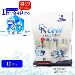 ボディシート クール スティックタイプ 超大判サ...の商品画像