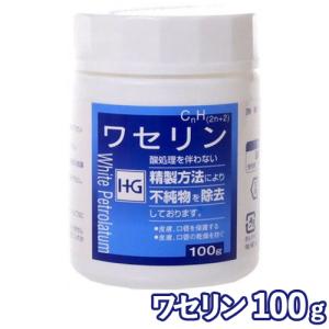大洋製薬 ワセリン　ＨＧ　１００ｇ×12パック 大洋製薬)ワセリンHG 100g : ザグザグ通販プレミアム ヤフー店 - 通販