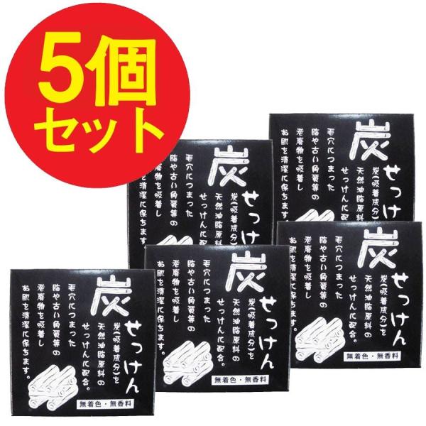 炭せっけん 500g 100g×5個セット 炭 石鹸 地の塩社 送料無料