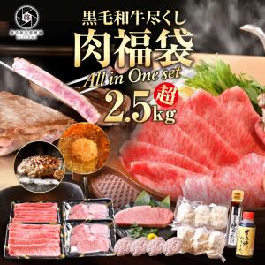 父の日 福袋 肉 牛肉 焼肉 黒毛和牛 尽くし 福袋 2.62kg すき焼き ステーキ 焼肉 ハンバーグ メンチカツ コロッケ