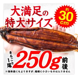 ギフト 和牛 鰻 セット特大 うなぎ 蒲焼き ...の詳細画像1