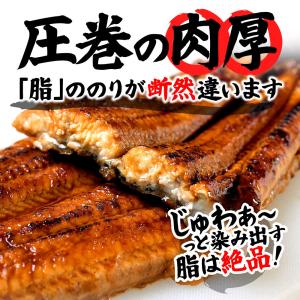 ギフト 和牛 鰻 セット特大 うなぎ 蒲焼き ...の詳細画像2