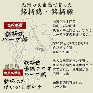 国産 ブランド鶏 むね肉 約300g×1枚 若...の詳細画像1