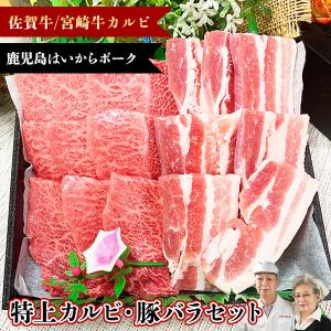 国産牛 和牛 カルビと銘柄豚の焼肉セット 500ｇ 佐賀牛 宮崎牛  黒毛和牛 / バーベキュー