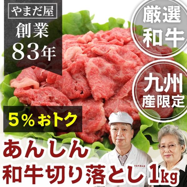 和牛 国産牛 A4 切り落とし 1kg 佐賀牛 宮崎牛 / 黒毛和牛 訳あり