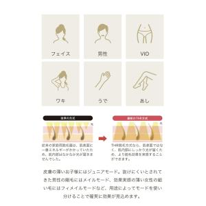 ビートツー デラックスセット BiiTo2 D...の詳細画像4