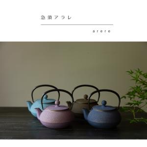 岩鋳 iwachu 南部鉄器 急須 5型アラレ...の詳細画像1