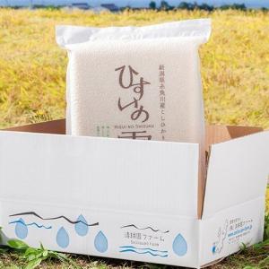 新米 コシヒカリ 5kg 白米 真空パック 保...の詳細画像1