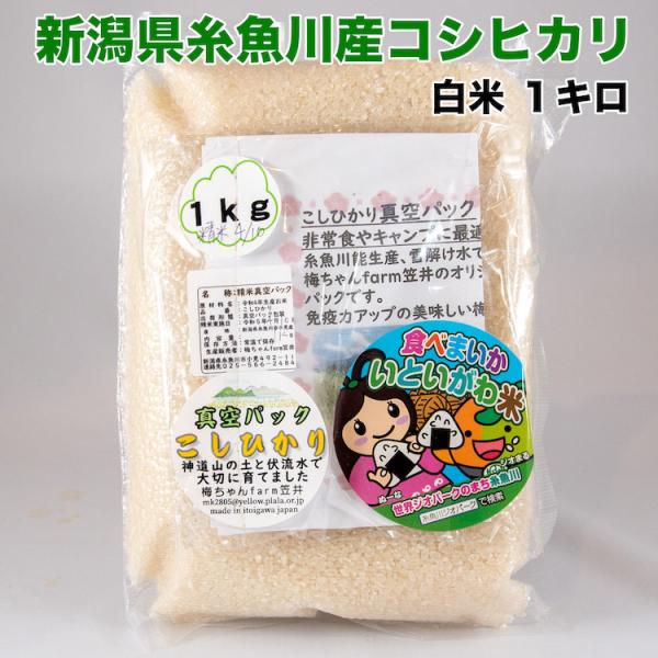 コシヒカリ 1kg 白米 真空パック おためし お試し 送料無料 保存 備蓄 新潟県産 糸魚川産 梅...