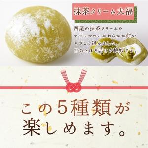 ひとくち プチ大福 アソート5種 1kg (2...の詳細画像4