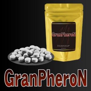 グランフェロン GranPheroN　２個セット　男性用サポートサプリ　ネコポスで送料無料