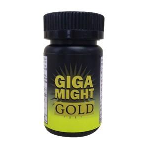 ギガマイトゴールド GIGA MIGHT GOLD　２個セット　男性用サポートサプリ　送料無料