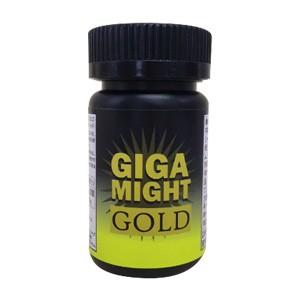 ギガマイトゴールド GIGA MIGHT GOLD　男性用サポートサプリ　定形外郵便で送料無料