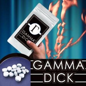 ガンマディック GAMMADICK メール便送料無料 男性用サポートサプリ