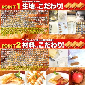 国産りんごの アップルパイ 500g 送料無料...の詳細画像4