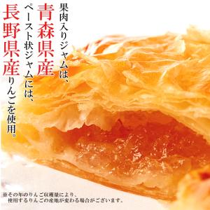 国産りんごの アップルパイ 500g 送料無料...の詳細画像5