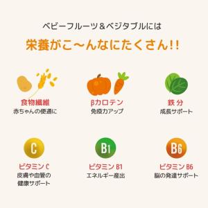 Frulla ベビー フルーツ ベジタブル 6...の詳細画像1