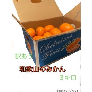 和歌山　訳ありみかん　3kg