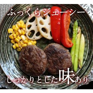 ヘルシー 馬肉 ハンバーグ 1個 〈1個=約8...の詳細画像4