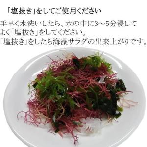 海藻サラダ 塩蔵品 国産 5kg (500g×...の詳細画像3