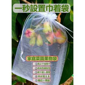 ぶどう袋 果実袋 100枚入 防鳥ネット防虫ネット 家庭菜園果物袋 果物保護バッグ葡萄園芸 ネット桃の袋 (透明, 25*35cm 100枚入)