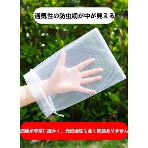 ぶどう袋 果実袋 100枚入 防鳥ネット防虫ネ...の詳細画像1