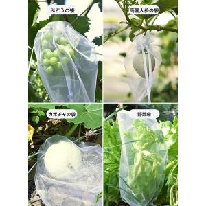 ぶどう袋 果実袋 100枚入 防鳥ネット防虫ネ...の詳細画像2