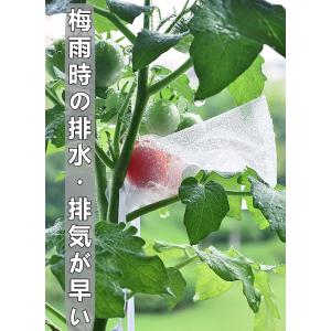 ぶどう袋 果実袋 100枚入 防鳥ネット防虫ネ...の詳細画像4